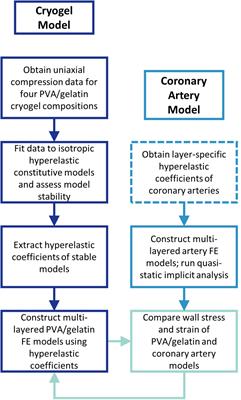 Design and Simulation of the Biomechanics of Multi-Layered Composite Poly(Vinyl Alcohol) Coronary Artery Grafts